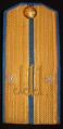 111-й пехотный Донской полк - погон - подпоручик.jpg