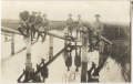 267-й пехотный Духовщинский полк.Офицеры. Рыба.1917.jpg